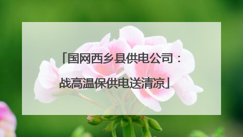 国网西乡县供电公司：战高温保供电送清凉
